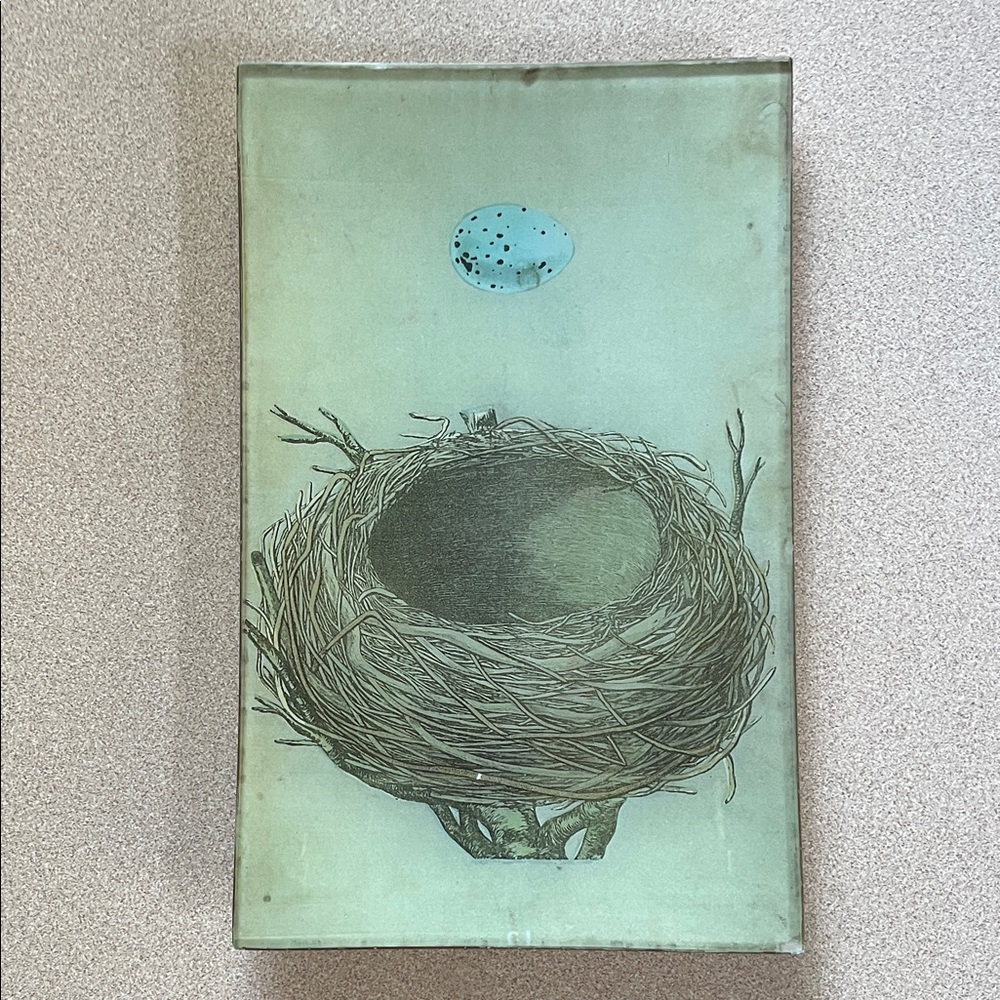 Elegant Nest Art Print with Blue Accents Glass Tray